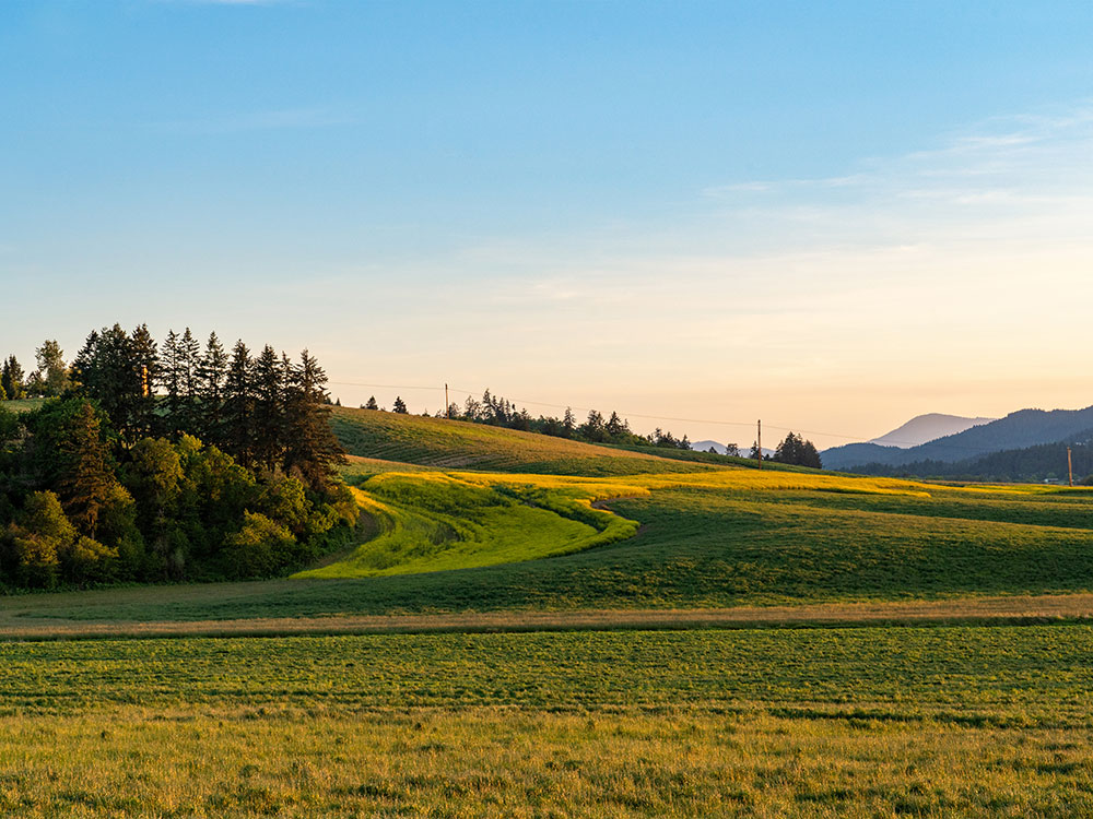 Vantage Wealth Management provides trusted financial planning and insurance services to residents of Corvallis, OR, and surrounding areas.