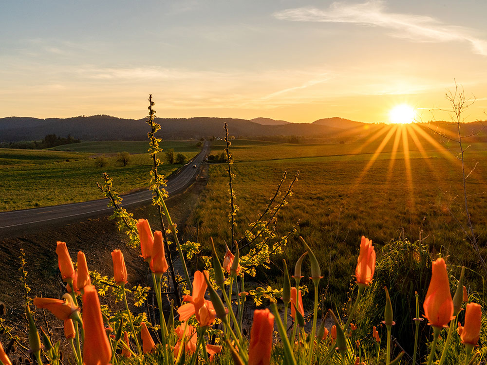 Vantage Wealth Management provides trusted financial planning and insurance services to residents of Corvallis, OR, and surrounding areas.