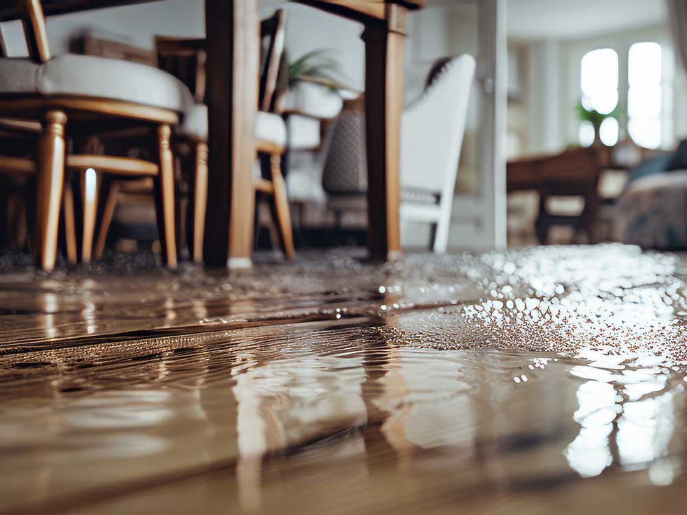 Does Home Insurance Cover Water Damage? An Oregon Homeowner’s Guide